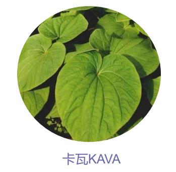 回归本源！看全新升级的璧丽温润特护系列如何安全护肤