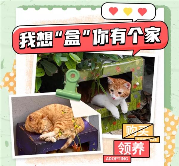 魔力猫盒四周年感恩盛典：用真诚与爱意赢得赞誉