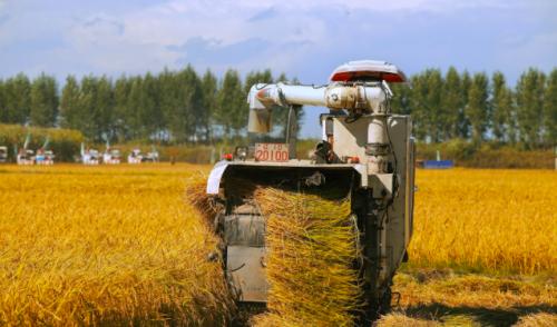  新米成市场新宠，十月稻田2021新米领“鲜”上市
