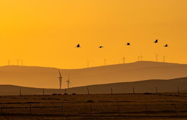 飞跃世界屋脊的蓑衣少女