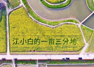  江小白酒馆，一次更加深入的用户共创试验