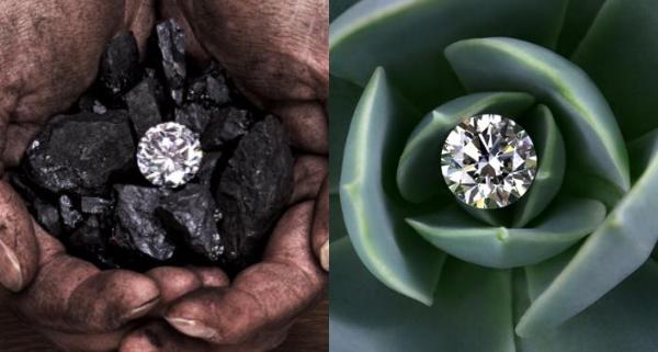  珠宝业开始拥抱培育钻石, 人造的钻石从争议转向共识？