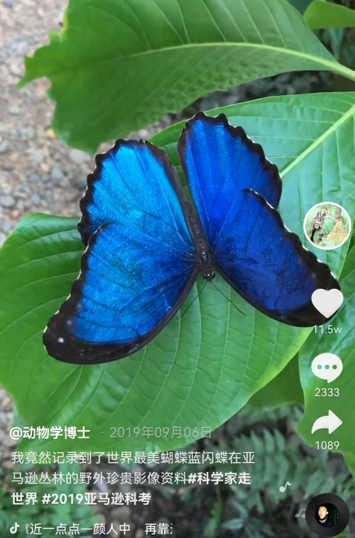 小琥珀里有个“动物世界”，抖音上这个“移动博物馆”火了