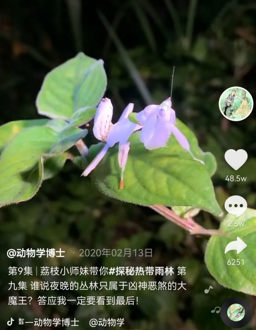  小琥珀里有个“动物世界”，抖音上这个“移动博物馆”火了