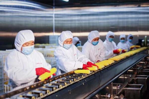  用自然馈赠定义新鲜，北纬47度鲜玉米火爆上市