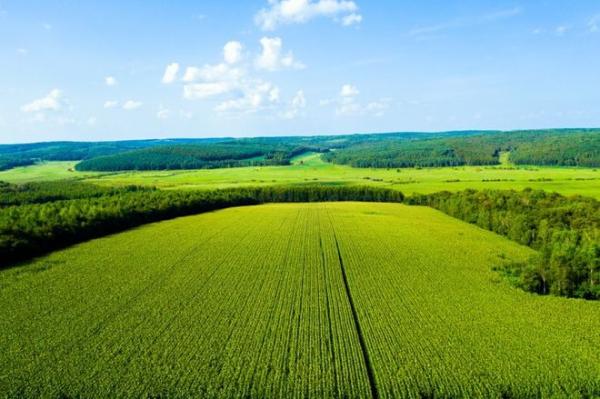  用自然馈赠定义新鲜，北纬47度鲜玉米火爆上市
