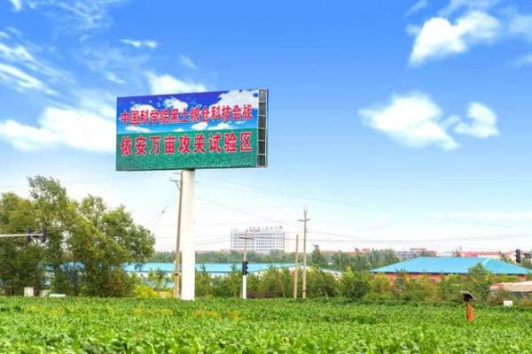  用自然馈赠定义新鲜，北纬47度鲜玉米火爆上市