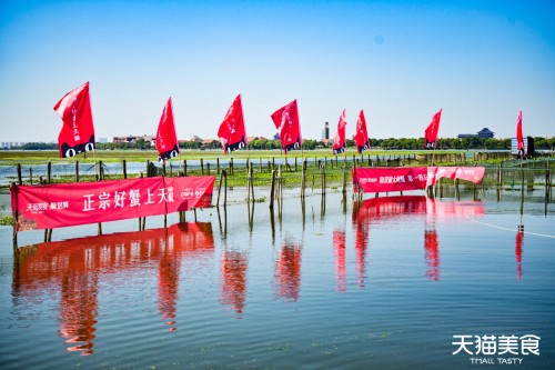  阳澄湖开捕大闸蟹迎报复性消费，天猫活蟹交易量同比增长35%
