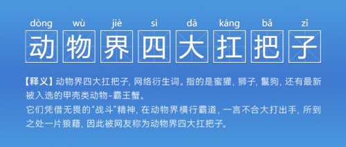  突击手、潜伏者、角斗士、铁甲侠，来看看动物界“四大扛把子”哪款是你的菜