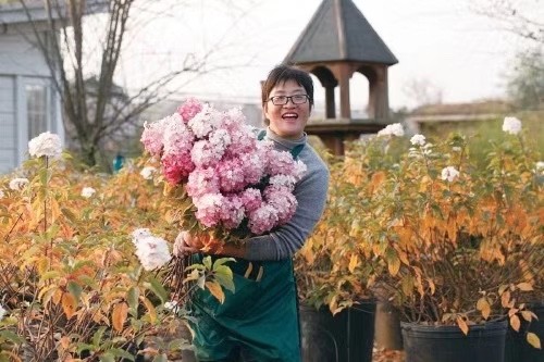  用短视频描绘乡村振兴锦绣图 