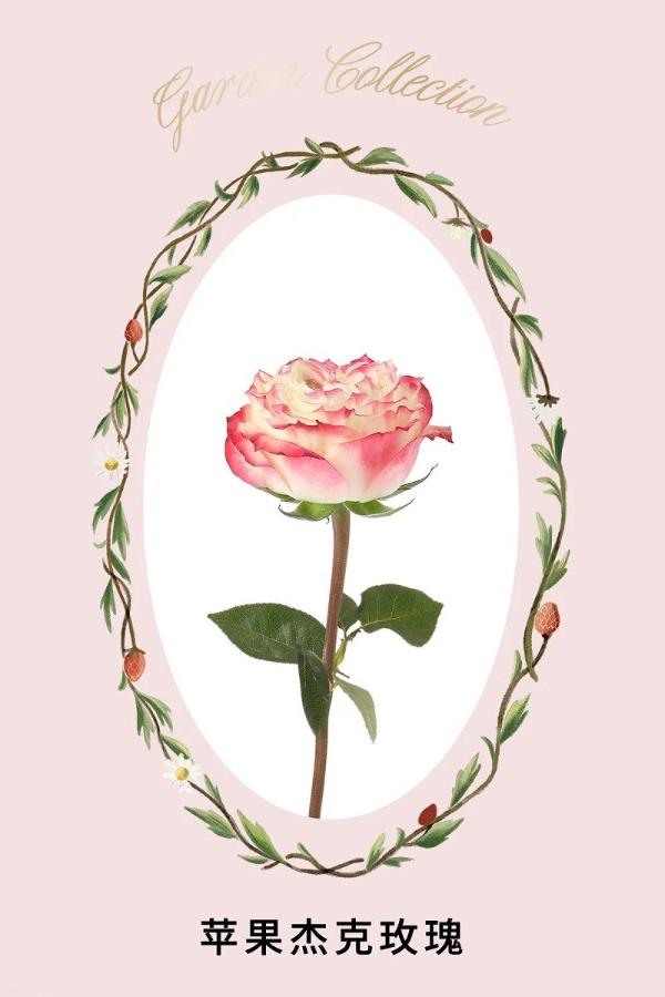  节日送花攻略，野兽派玫瑰花盒