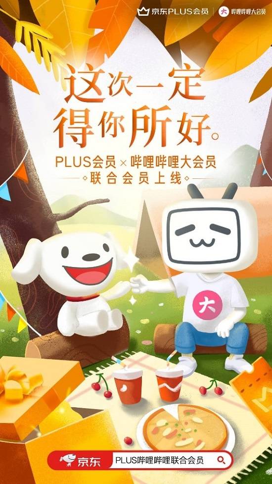  打破次元壁 京东PLUS会员B站联名卡安排