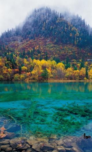  陶醉人文美景，相约熊猫家园，爱上净土阿坝