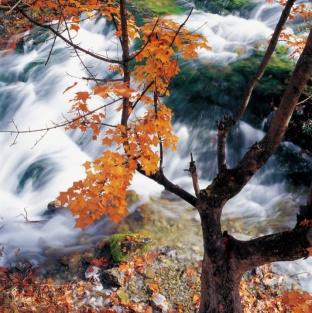  陶醉人文美景，相约熊猫家园，爱上净土阿坝