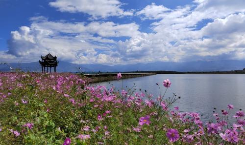  盐源乡村振兴农文旅产业示范点柏林湖苹果庄园11月将开门迎客