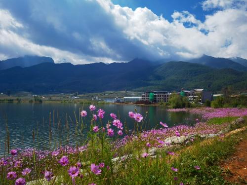  盐源乡村振兴农文旅产业示范点柏林湖苹果庄园11月将开门迎客