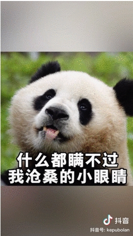  许昕、郎朗、魏坤琳，都在抖音上回答青少年的好奇提问