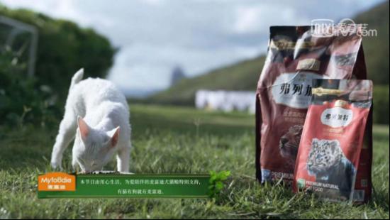  海底素颜种珊瑚，《你好生活》和麦富迪一起呼吁生态保护