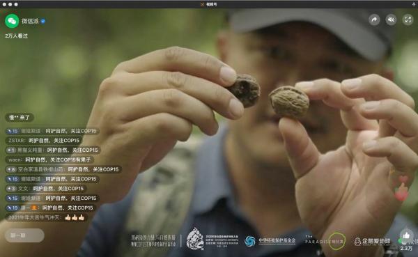 视频号直播探索九龙峰自然保护地：微信的生物多样性公益故事