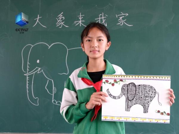 《同象行》：传递充满温情的中国野生动物保护故事