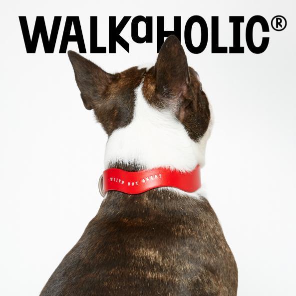  WALKaHOLIC® × 電力宠物公司联名开发宠物牵引项圈系列，前滩太古里开幕发布