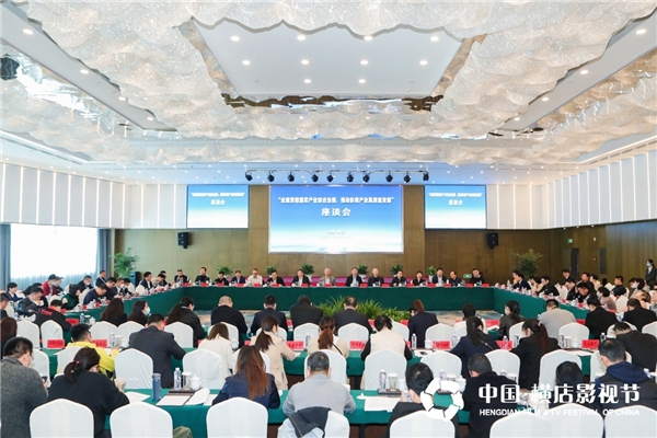 王中磊出席“全面贯彻落实行业综合治理，推动影视产业高质量发展”座谈会