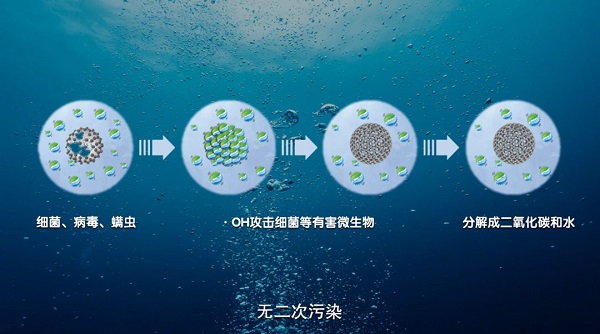  换季衣物大清洗，小天鹅本色系列洗衣机装带来全新洁净体验