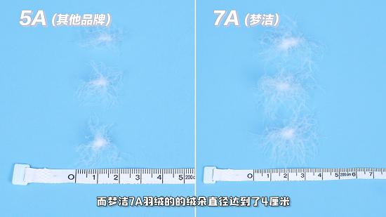  梦洁7A羽绒被媲美欧洲皇室御用羽绒被，掀明星种草热潮