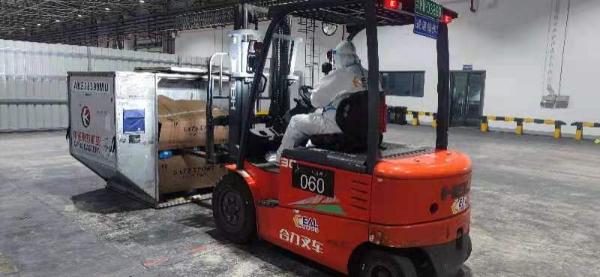 东航物流绿色通道全程“呵护”进博展品安全抵沪