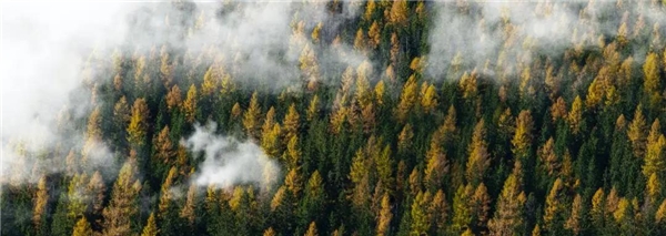 桃源森林国际旅游度假区 全球向往的森林岛屿度假星球