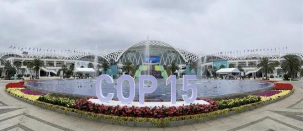  海能达为COP15打造“全方位、立体化”安保通信保障体系
