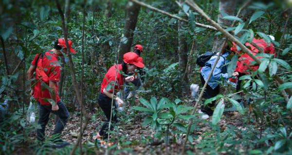  2021中国南酸枣旅游文化节& 齐云山登山节圆满落幕
