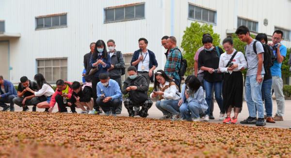  2021中国南酸枣旅游文化节& 齐云山登山节圆满落幕