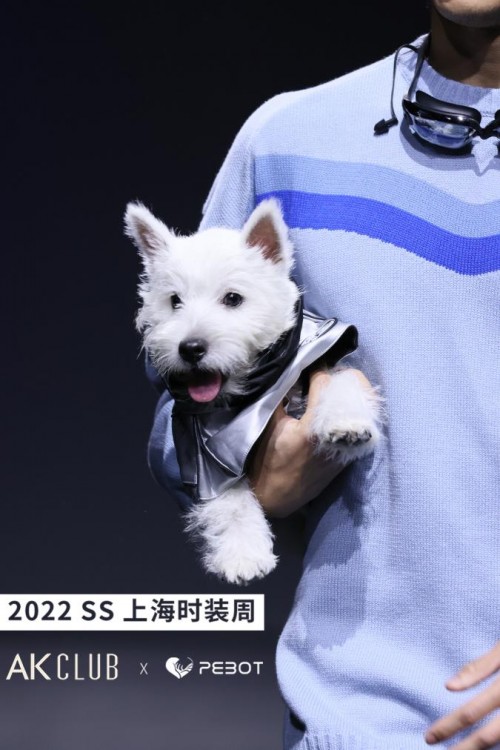  “太空狗”大麦登上上海时装周T台，PEBOT将亲宠体验做到极致