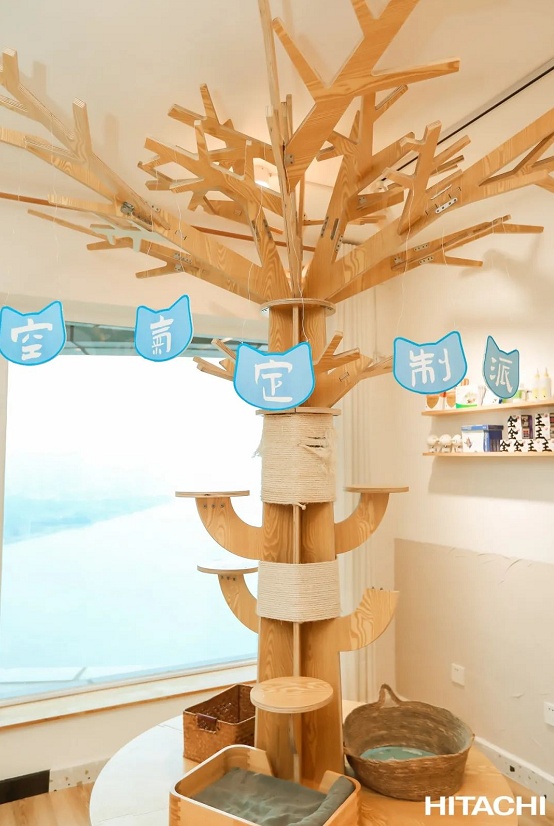  “吸猫族”的福音来了：一键防猫藓，妙招在此