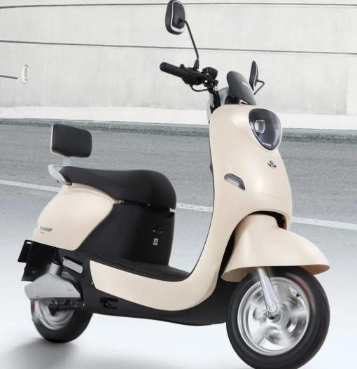 电摩电动车排行榜_2021最值得购买的10款电动车排行(2)