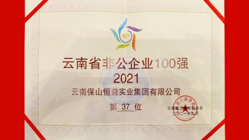 恒益集团荣登2021年云南省非公企业百强榜