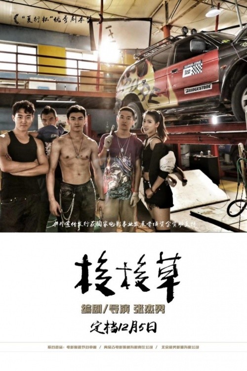  新生代小花联袂出演，影帝影后倾情献技《梭梭草》定档12月5日