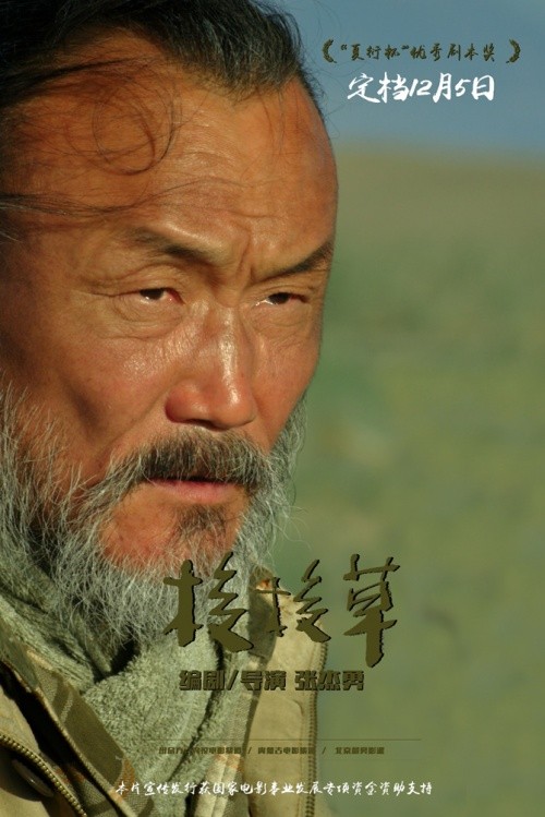  新生代小花联袂出演，影帝影后倾情献技《梭梭草》定档12月5日