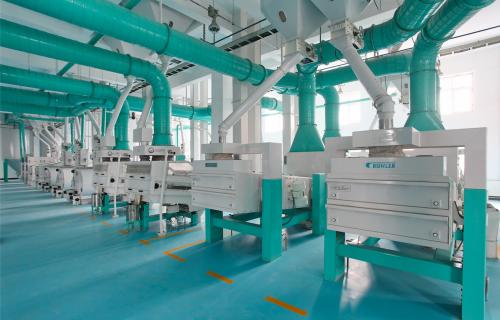  东北大米有推荐吗？十月稻田用匠心打磨品质大米