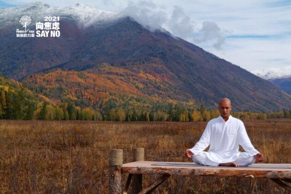  “向焦虑SAY NO”公益行11月1日正式开启 悠季瑜伽邀全球名师共同探讨焦虑对治之道