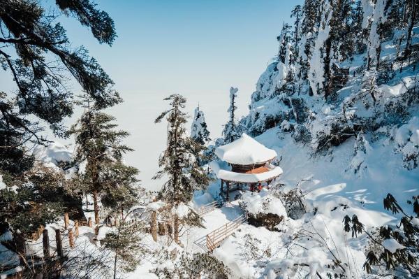  官宣！三大野生萌宠空降，燃情开启瓦屋山最萌冰雪嘉年华！
