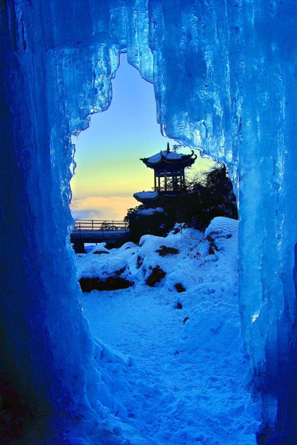  官宣！三大野生萌宠空降，燃情开启瓦屋山最萌冰雪嘉年华！