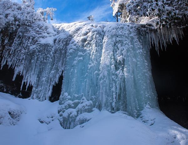  官宣！三大野生萌宠空降，燃情开启瓦屋山最萌冰雪嘉年华！
