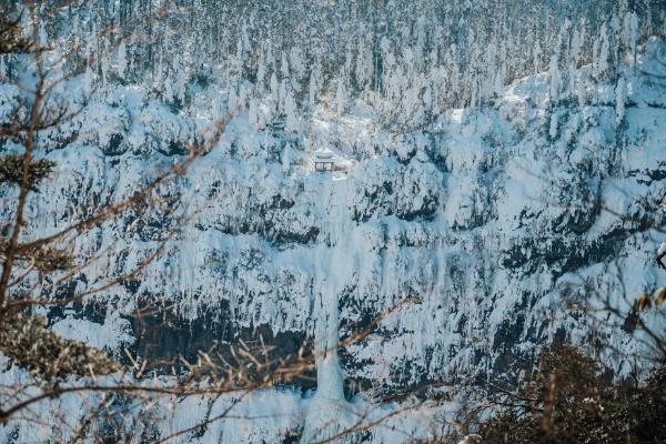  官宣！三大野生萌宠空降，燃情开启瓦屋山最萌冰雪嘉年华！
