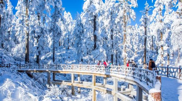  官宣！三大野生萌宠空降，燃情开启瓦屋山最萌冰雪嘉年华！