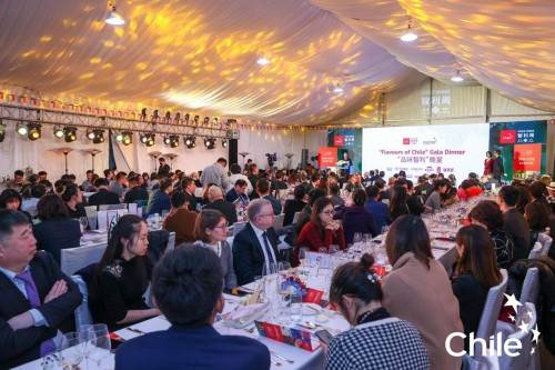  深化智中经贸合作关系，2021年第六届智利周开幕站盛况空前