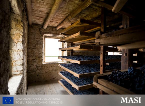  Masi玛希酒庄——阿玛罗内酿造艺术的全球典范