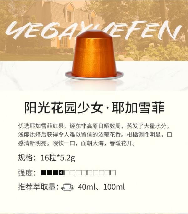  国货之光：ACE COF胶囊咖啡上线销售