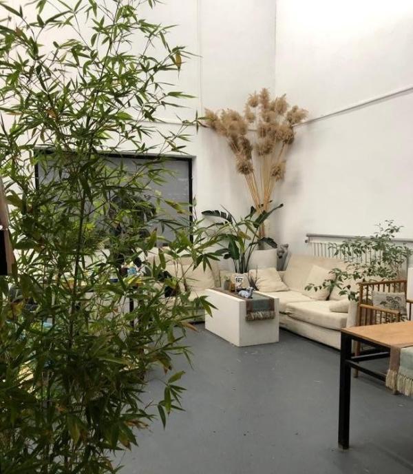  雅昌青年艺术家推荐｜张有志：做生活中的“清者”